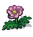 粉色的花.png
