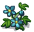 蓝色的花.png