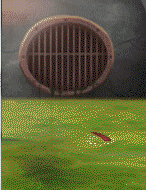 GIF.gif