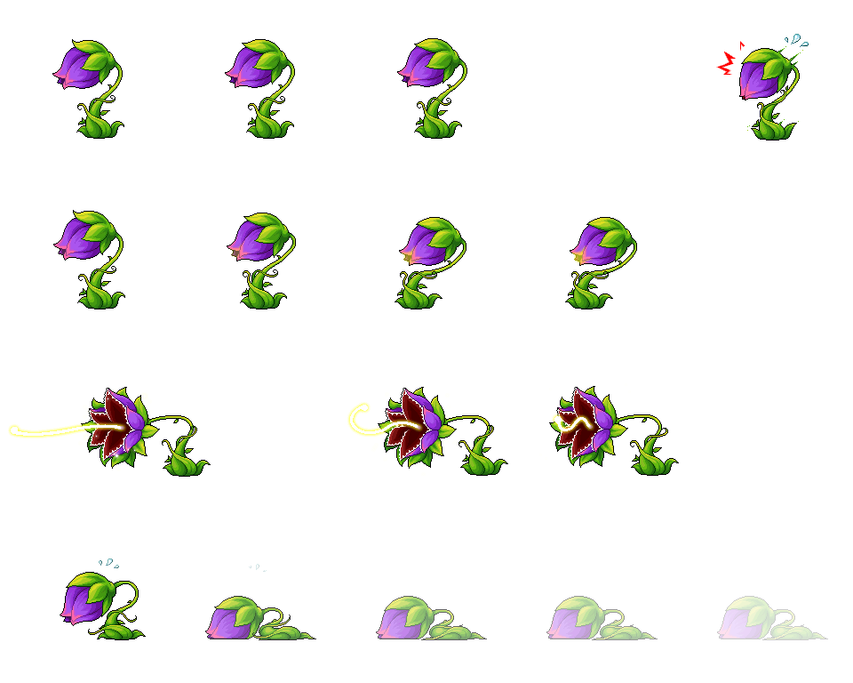 hybiscus.png