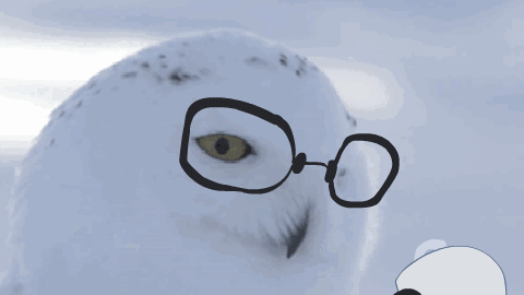 QQ图片20200531175833.gif