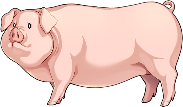 Nature_3.png