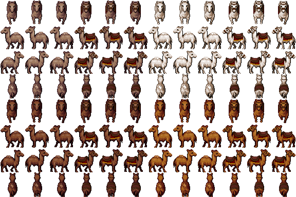 骆驼2.png
