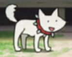 dog.PNG