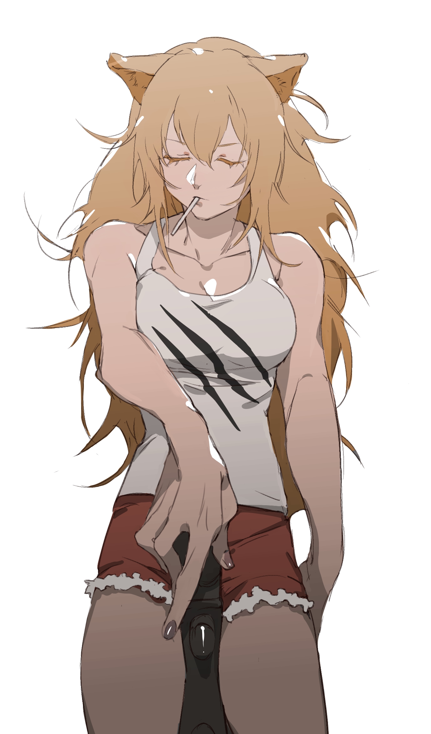 lion.jpg