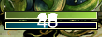 335.png