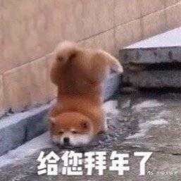 给您拜年了.jpg