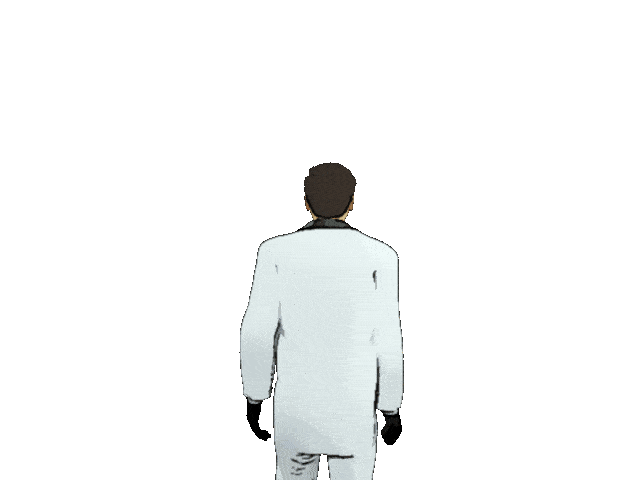 shiroDarkToon_compressed.gif
