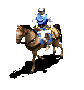 c0.gif
