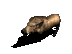 f2.gif