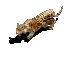 f1.gif