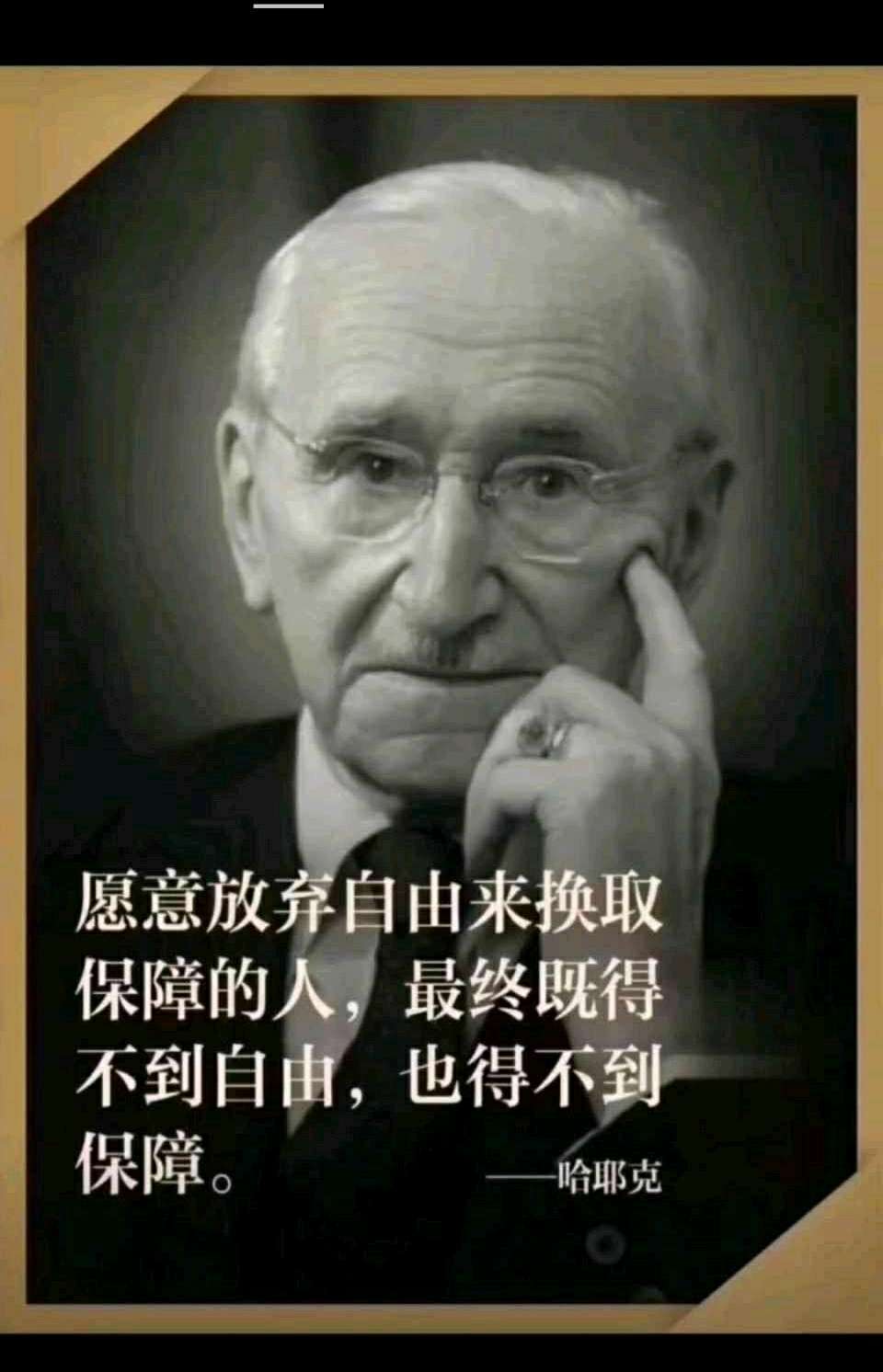 1424A711C3DCD8A4CC249661FC23C96E.jpg