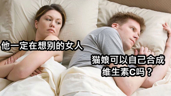 猫娘可以自己合成维生素C吗？.png