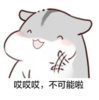 不可能