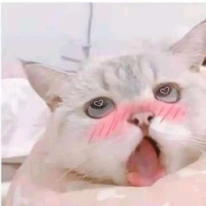 坏掉了
