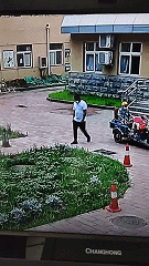 11.gif