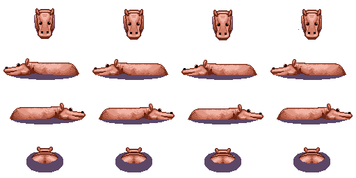 动物 河马2.png