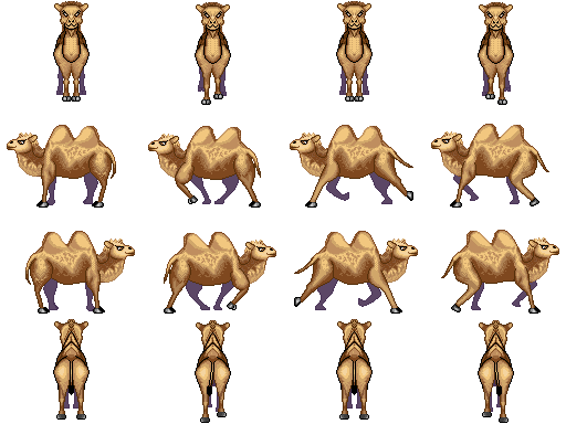 动物 骆驼.png