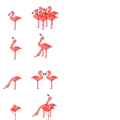 动物 鸟 火烈鸟1.png