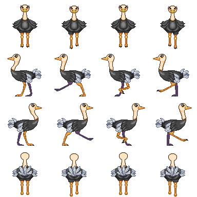 动物 鸟 鸵鸟.png