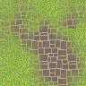 05.png