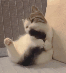 1add2ba33fc7f5158b05053d3399d0c90d7b2281.gif