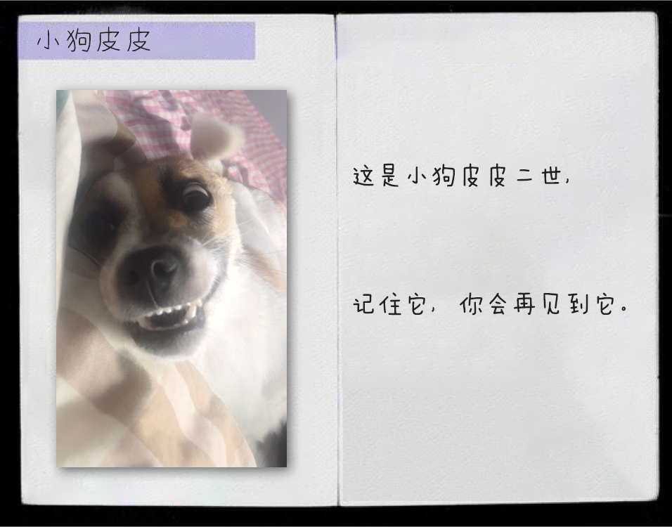 3F15A4620582E6F64EE8236ED9C28AE2_副本.png