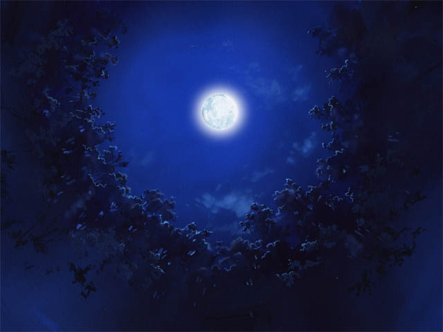 At_night_01.jpg