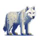 北极狼.png