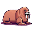海象.png