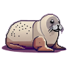 海豹.png