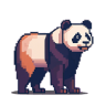 熊猫.png