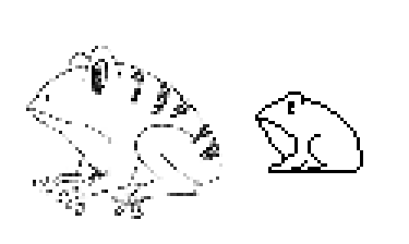 b004ebb5-ca27-4ba8-a604-59b8c1b90c15.png