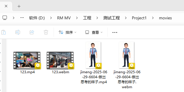 1751188493793.png