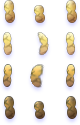 11_蛆虫行走图_x_VA.png