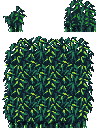 竹林顶部2.png