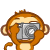 170.gif