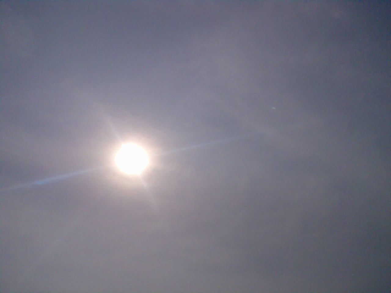 Image181.jpg