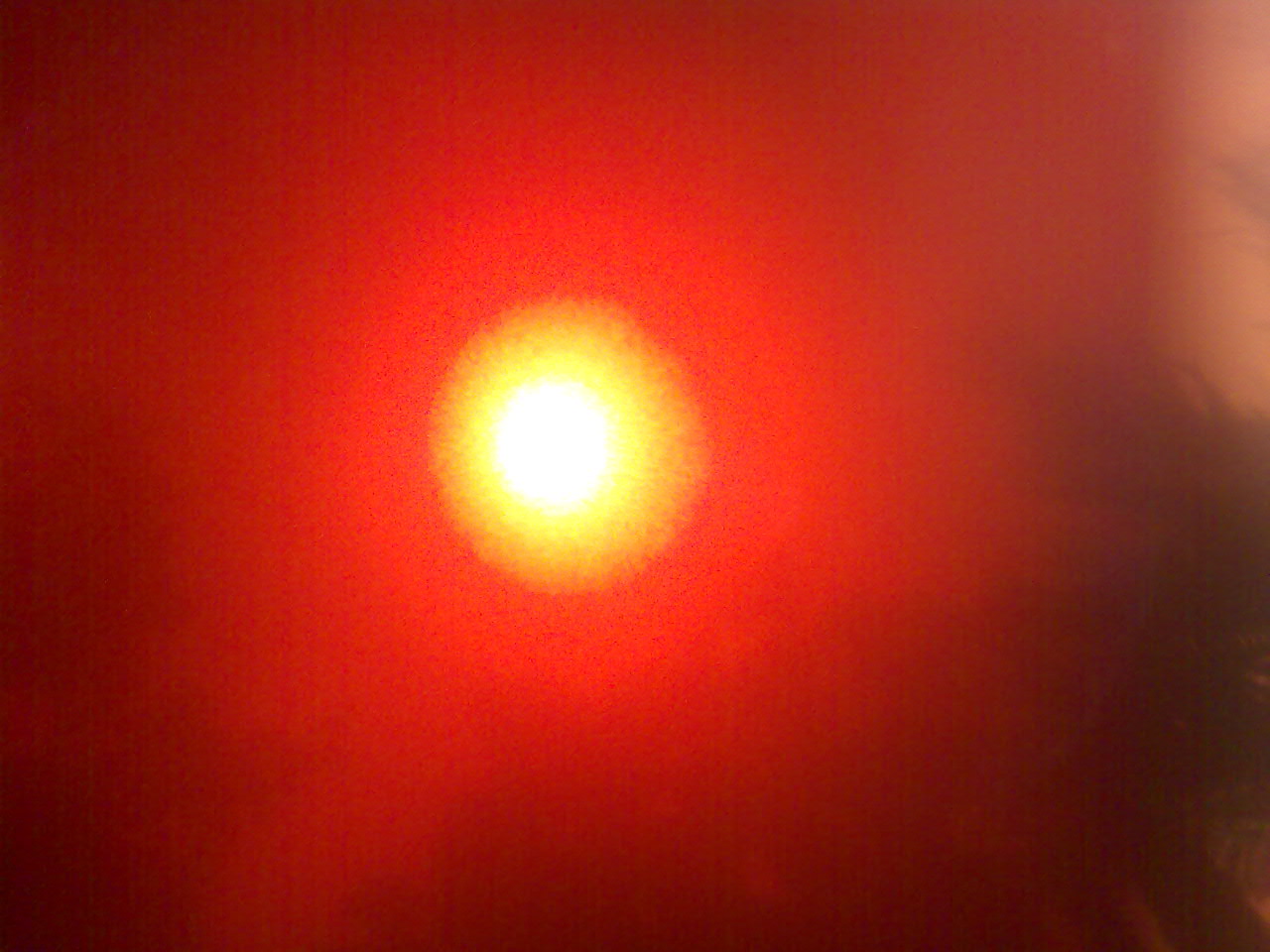 Image195.jpg