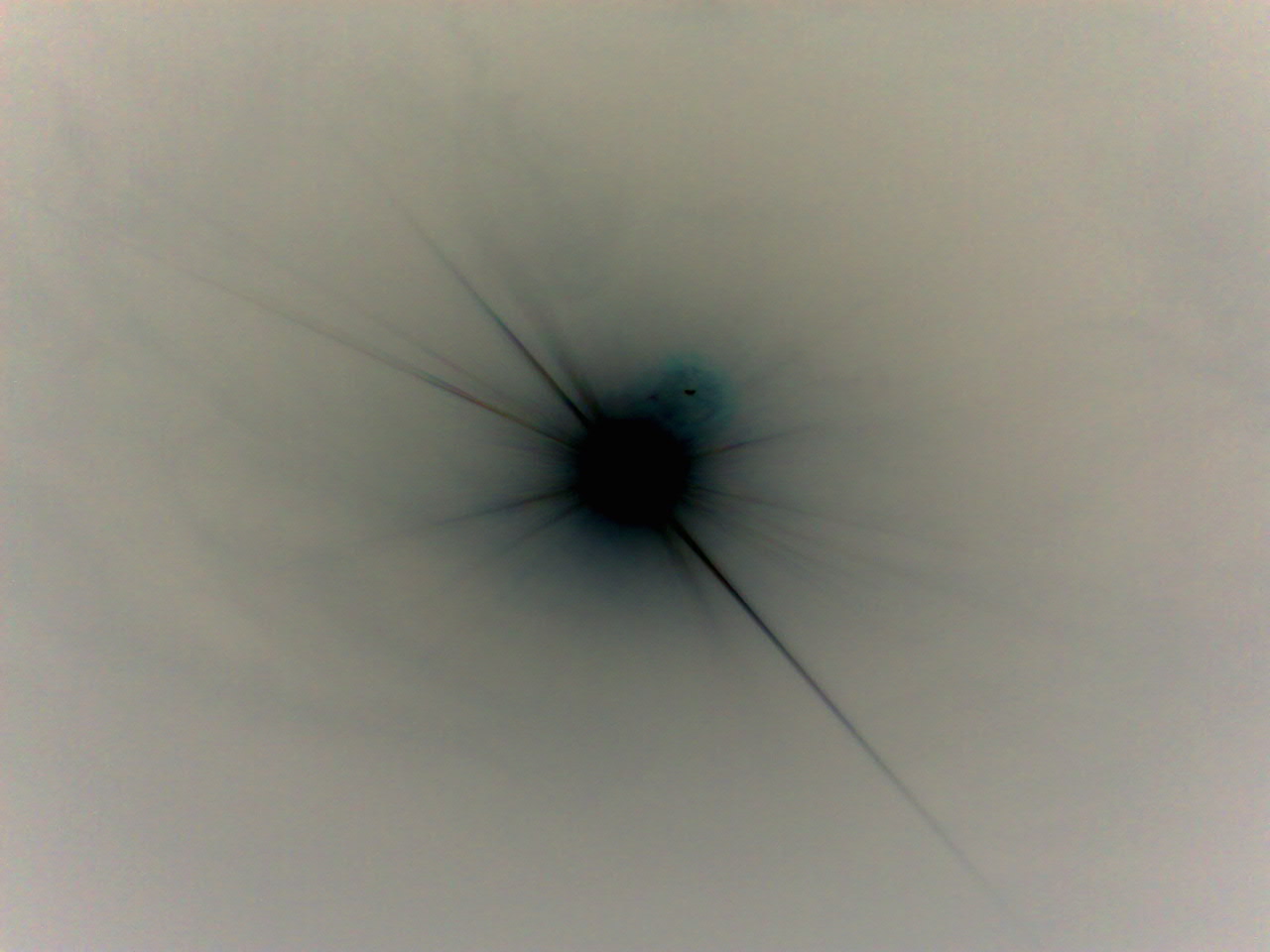 Image192.jpg