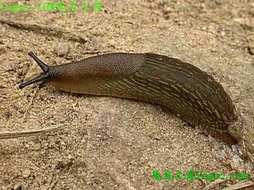 20060926222039317.jpg