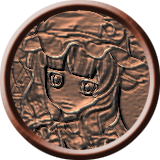 木木姐的铜质奖牌.png