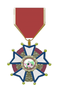 精灵的奖章.png