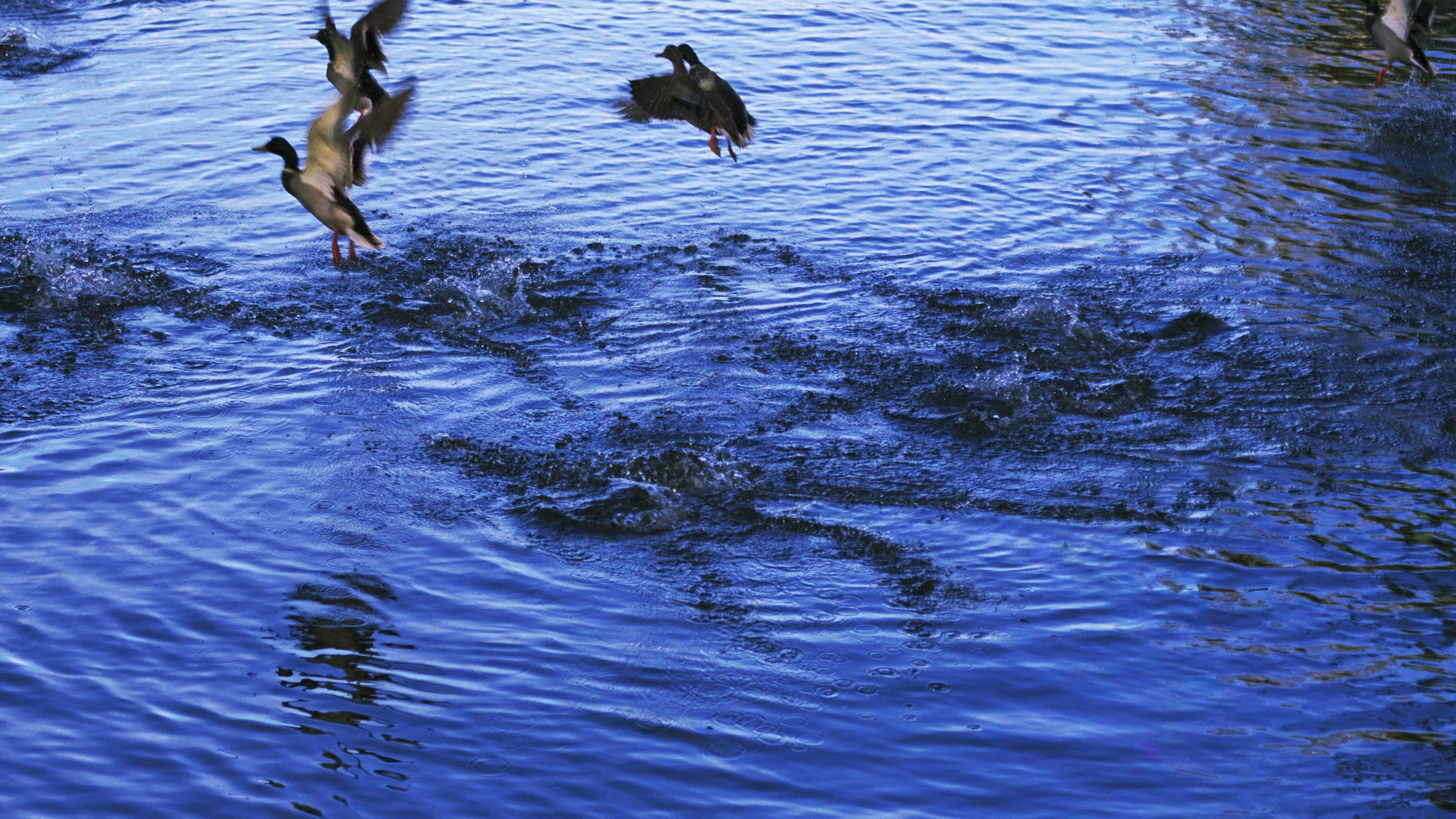 snapshot20090901093756.jpg