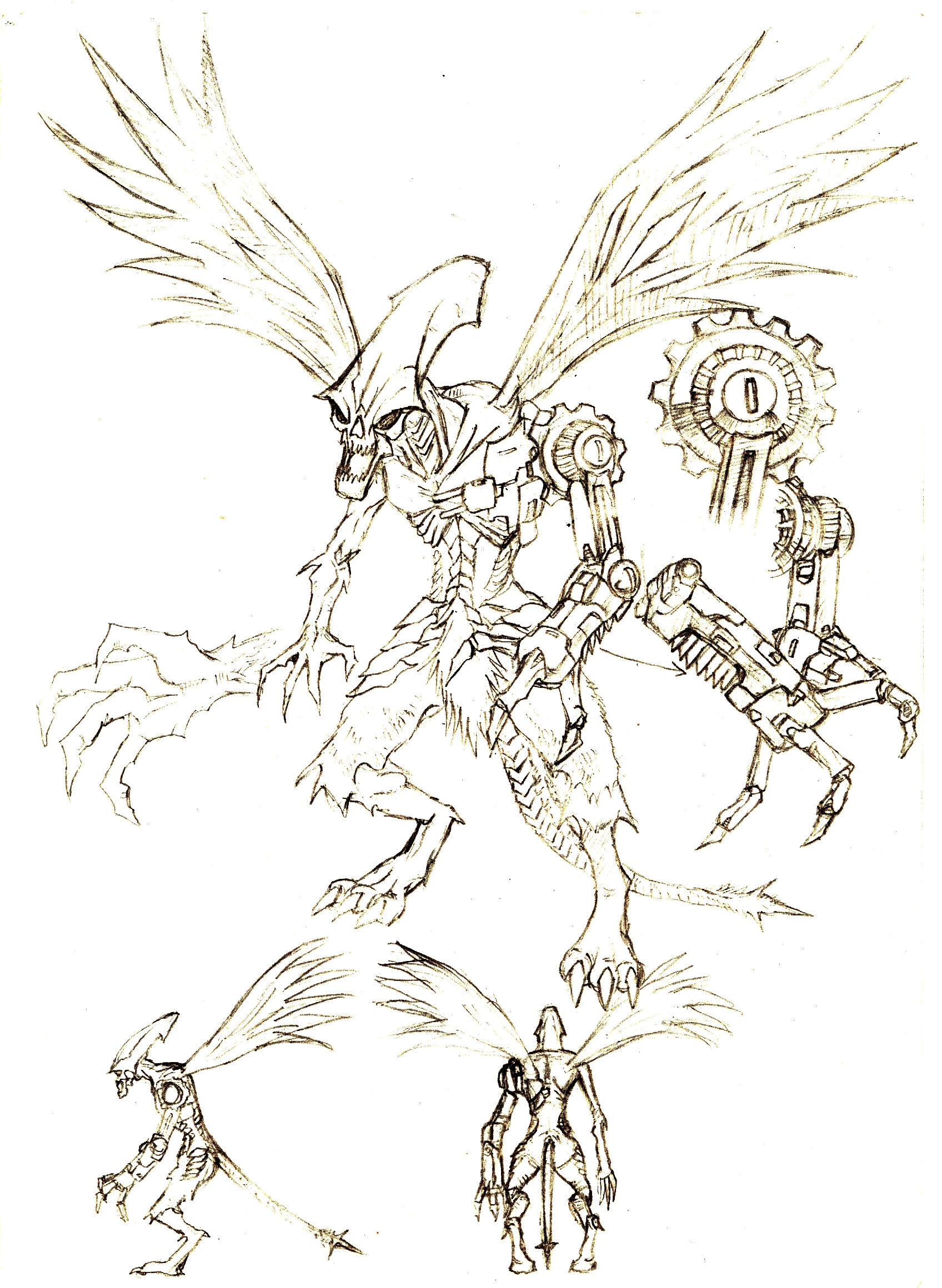 Image2.JPG