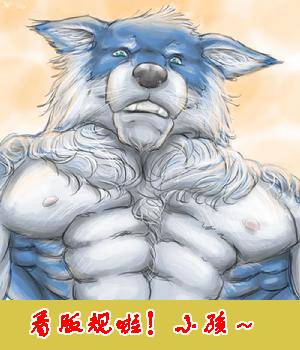01300000196525121755899833885_s.png
