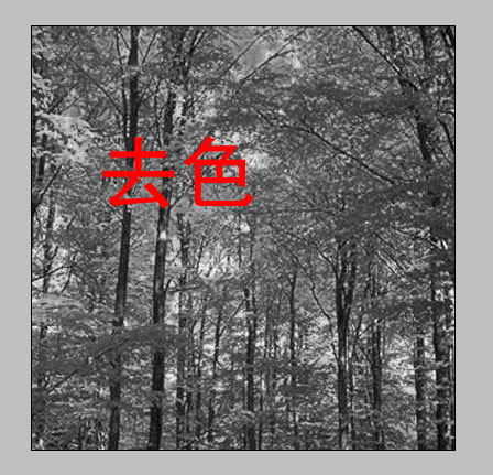 04.jpg