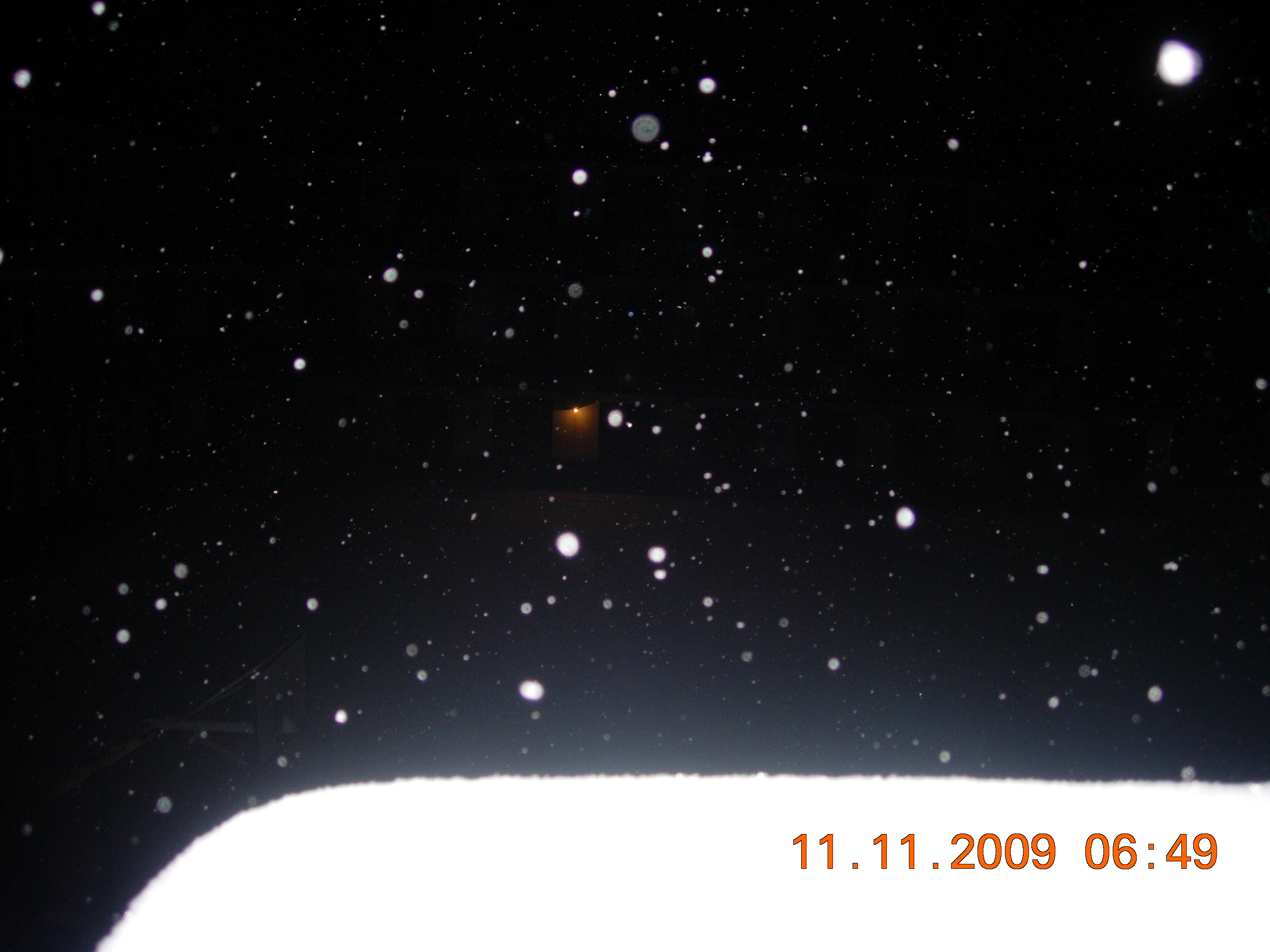 DSCN5466.JPG