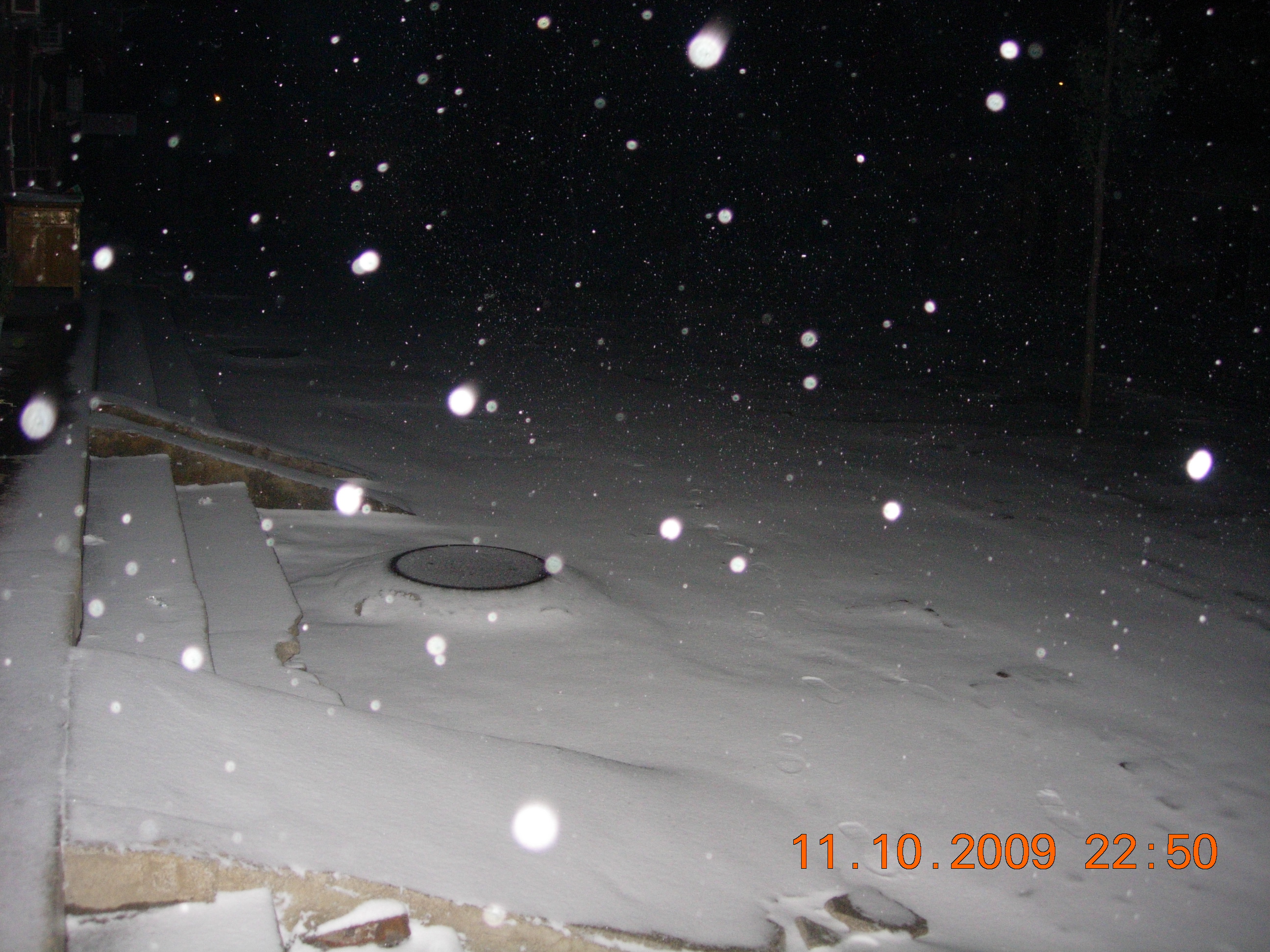 DSCN5462.JPG