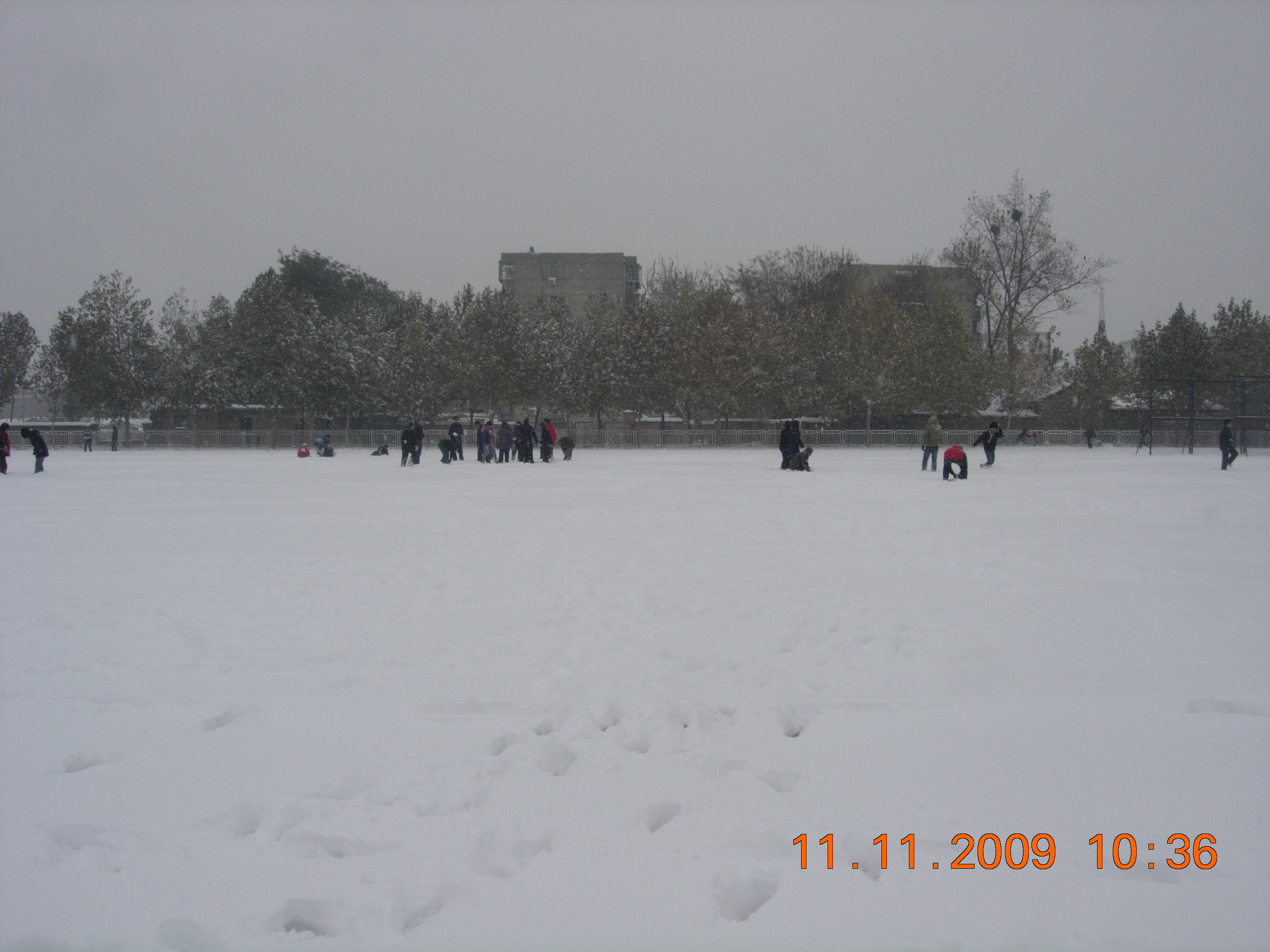 DSCN5473.JPG